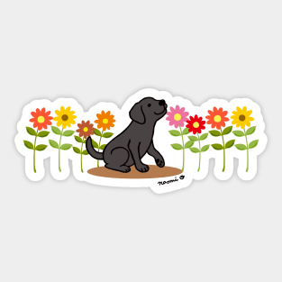 Black Labrador and Flowers Sticker